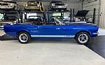 1966 Mustang Shelby Tribute Thumbnail 7