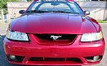 1999 Mustang Thumbnail 6