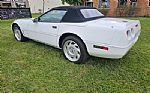 1992 Corvette Thumbnail 6