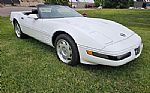 1992 Corvette Thumbnail 15