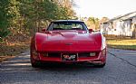 1981 Corvette Stingray Thumbnail 8