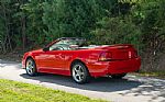 1999 Mustang Cobra Convertible Thumbnail 8