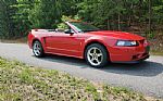 1999 Mustang Cobra Convertible Thumbnail 16