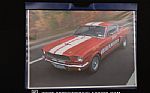 1965 Mustang Fastback Motion Perfor Thumbnail 74