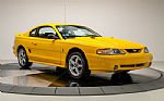 1998 Mustang Cobra Thumbnail 9