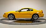 1998 Mustang Cobra Thumbnail 13