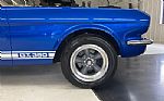 1966 Mustang Shelby Tribute Thumbnail 6