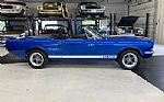 1966 Mustang Shelby Tribute Thumbnail 7