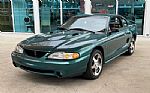 1997 Mustang SVT Cobra Thumbnail 6