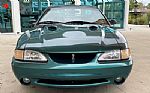 1997 Mustang SVT Cobra Thumbnail 13