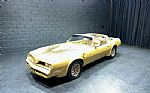 1978 Trans Am Thumbnail 34