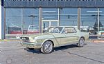 1966 Mustang Thumbnail 1