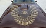 1979 Trans Am Thumbnail 44