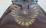 1979 Trans Am Thumbnail 42