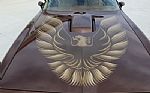 1979 Trans Am Thumbnail 43