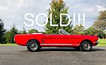 1966 Mustang Thumbnail 1