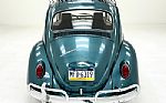 1967 Beetle Thumbnail 4