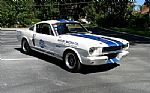 1966 Mustang Shelby Thumbnail 1