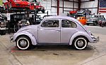 1960 Beetle Thumbnail 3