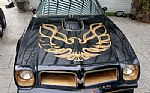 1976 Trans Am Thumbnail 1