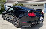 2016 Mustang Shelby Thumbnail 5