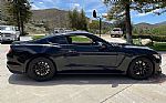 2016 Mustang Shelby Thumbnail 3