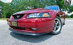 2004 Mustang Thumbnail 15