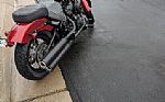 2019 Street Bob Thumbnail 3