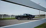 1967 Mustang GTA 390 S Code Fastbac Thumbnail 24
