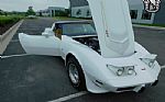 1979 Corvette Thumbnail 19