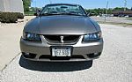 2001 Mustang SVT Cobra Convertible Thumbnail 2