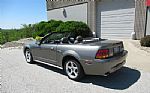 2001 Mustang SVT Cobra Convertible Thumbnail 5