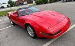 1995 Corvette Thumbnail 19