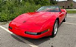 1995 Corvette Thumbnail 22