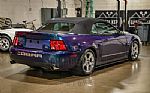 2004 Mustang Cobra SVT Thumbnail 14