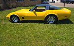 1981 Corvette Thumbnail 24