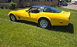 1981 Corvette Thumbnail 27