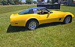 1981 Corvette Thumbnail 43