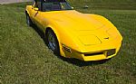 1981 Corvette Thumbnail 54