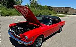 1966 Mustang Thumbnail 73