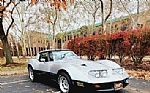 1981 Corvette Thumbnail 2