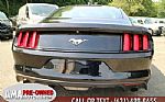 2016 Mustang Thumbnail 28