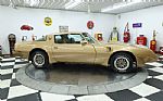 1979 Trans Am Thumbnail 25