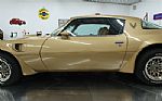 1979 Trans Am Thumbnail 47