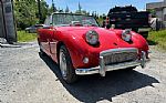 1962 Austin Healey Sprite