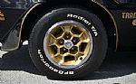 1976 Firebird Trans Am Thumbnail 24