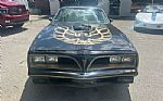 1978 Trans Am Thumbnail 37