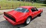 1979 Firebird Trans Am Thumbnail 15