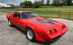 1979 Firebird Trans Am Thumbnail 18