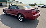 2006 Mustang Thumbnail 20